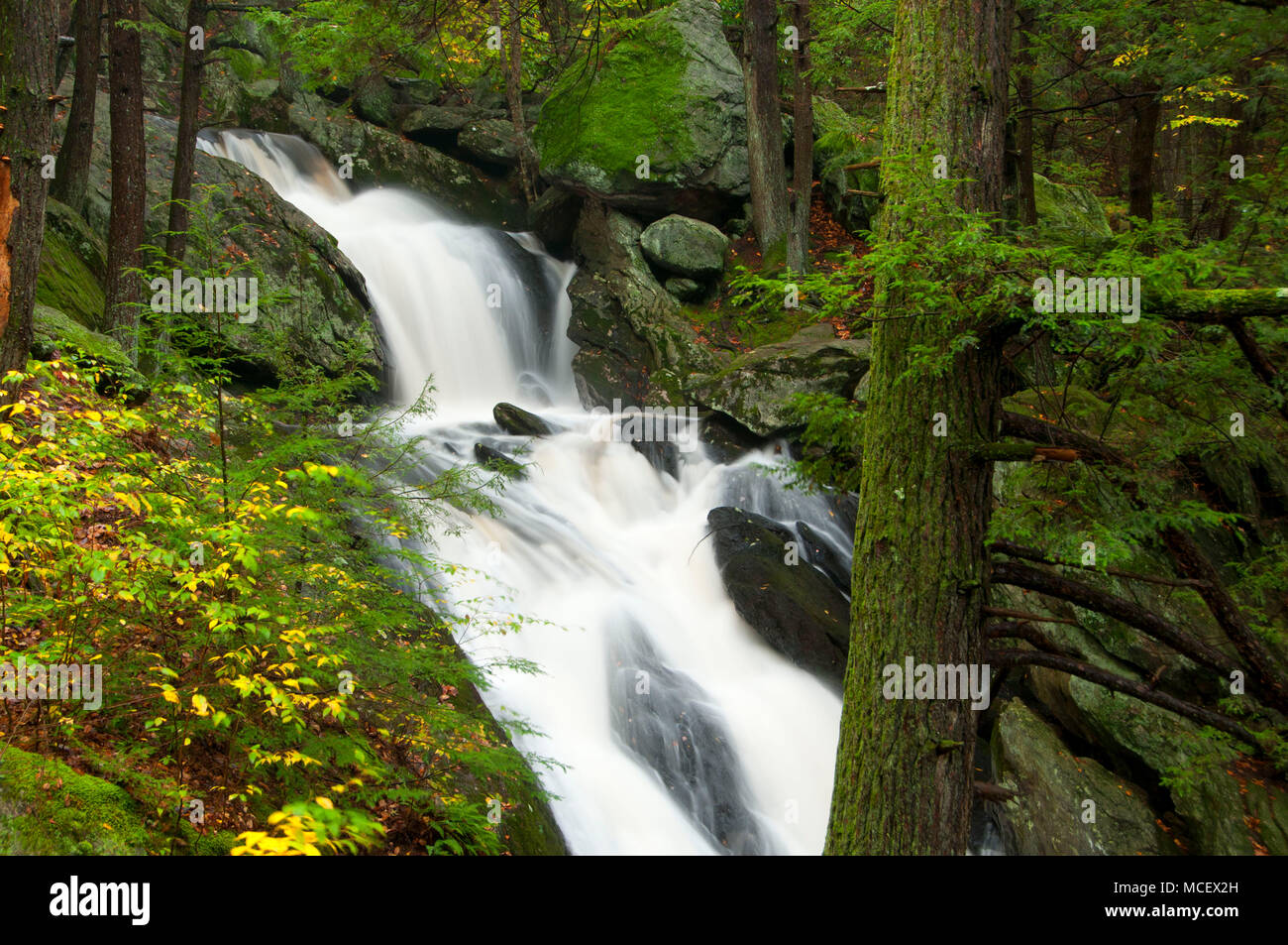 Buttermilk Falls, Buttermilk Falls Preserve, Connecticut Stock Photo