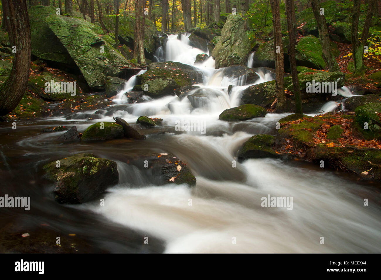 Buttermilk Falls, Buttermilk Falls Preserve, Connecticut Stock Photo