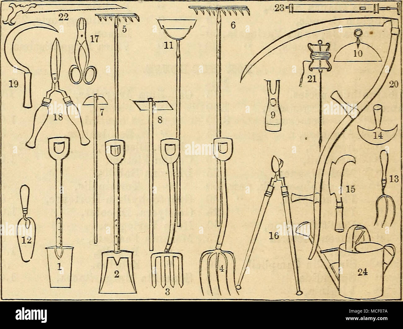 . No. 1, of the diagram, represents the ordinary cast steel Garden Spade. No. 2, a cast steel Shovel, D handled, for taking up rubbish, &amp;c. No. 3, steel Digging Fork, indispensa- ble to every garden. No. 4, steel Manure Fork. No. 5, steel Garden Rake. No. 6, Lawn Rake. No. 7, Turnip, or Onion Hoe. No. 8, cast steel Garden Hoe. No. 9, steel-pronged Hoe. No. 10, Crescent Socket Hoe. No. 11, Scuffle, or Dutch Hoe. No. 12, Garden Trowel. No. 13, steel &quot;Weeding Fork. No. 14, cast steel Grass Edging Knife. No. 15, short-handled Bill, or Briar Hook. No. 16, strong long-handled Pruning Shears Stock Photo
