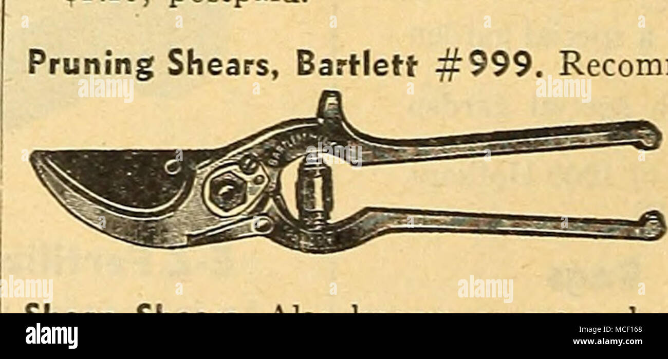 . Recommended particularly for heavier work. 9 in. long; of heavy con- struction. $3.95, postpaid. Sheep Shears. Also known as grass shears. Hardened, hol- low ground, tempered blades. 6J4 in. long with double spring back. .^2.50 each. With 5y2i in. blades! and trowel shank. $1.60, post- paid. Stock Photo