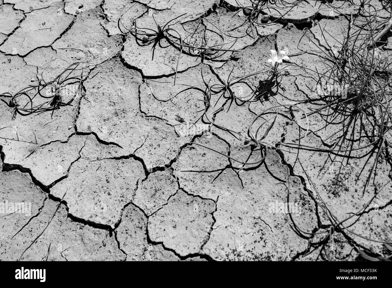 Soil erosion Black and White Stock Photos & Images - Alamy