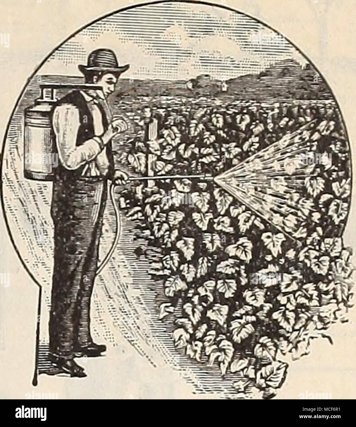 . Knapsack Sprayers. For applying Bordeaux Mixture and all Liquid ...