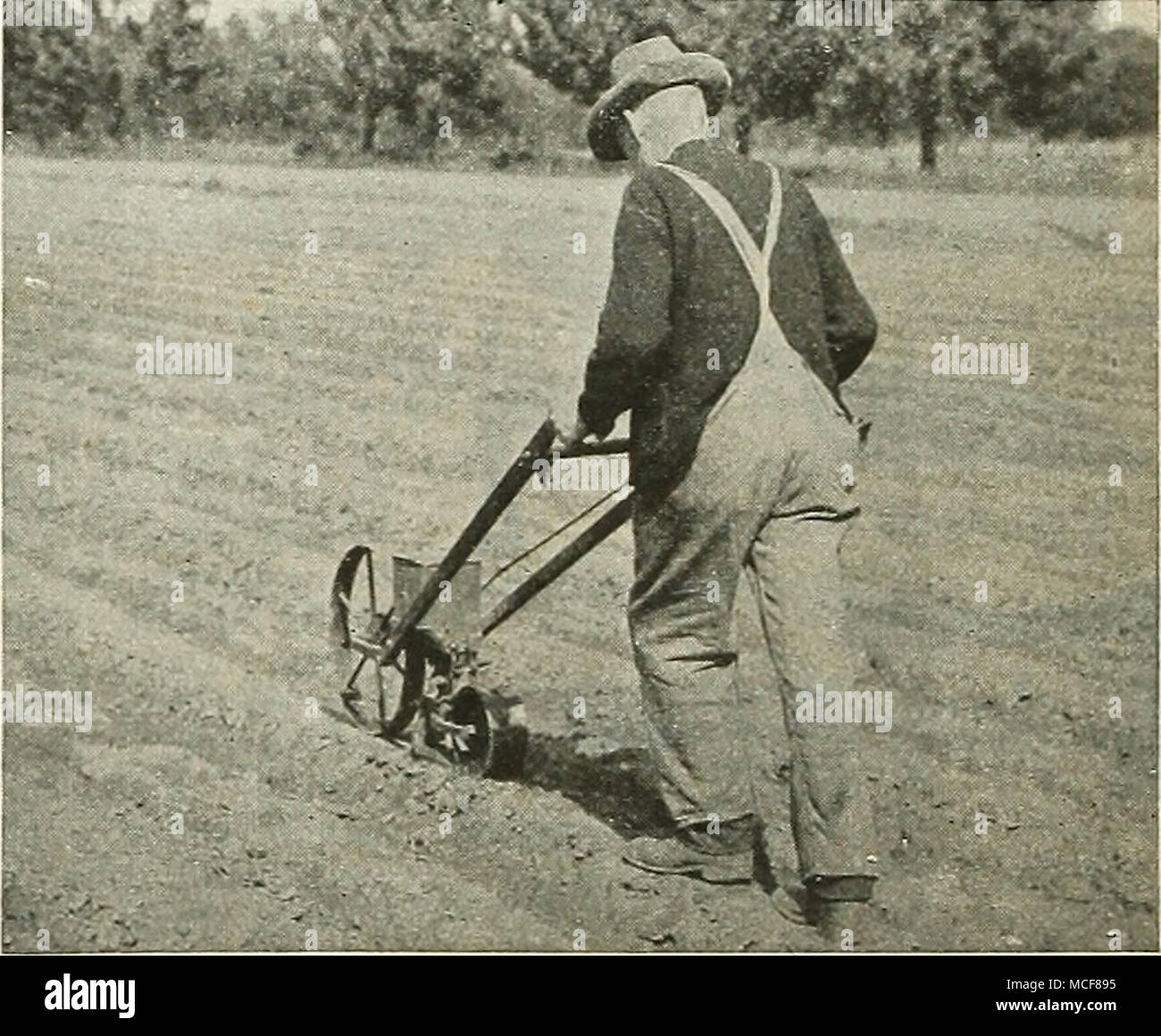 Planet Jr No 3 Seeder At Work In The Market Garden Planet Jr No 12 Double Wheel Hoe Cultivator And Plow Price 6 50 Steel Frame 14 Inch Steel Wheels Stock Photo Alamy
