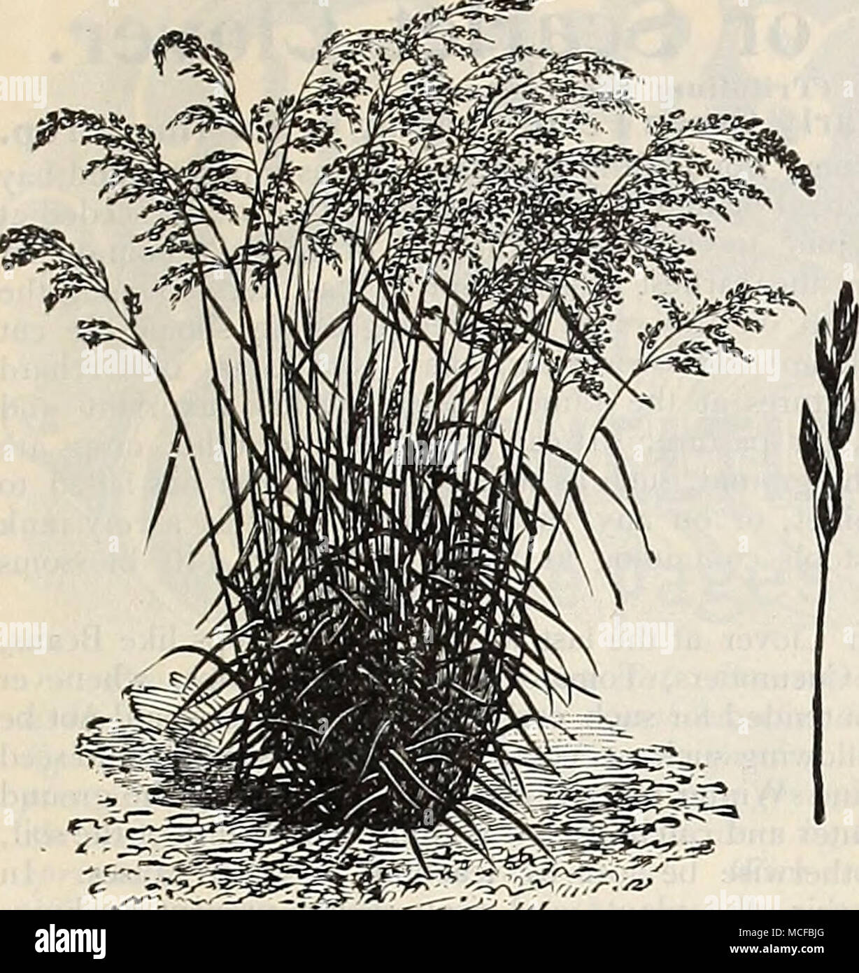 100 acre wood hires stock photography and images Alamy