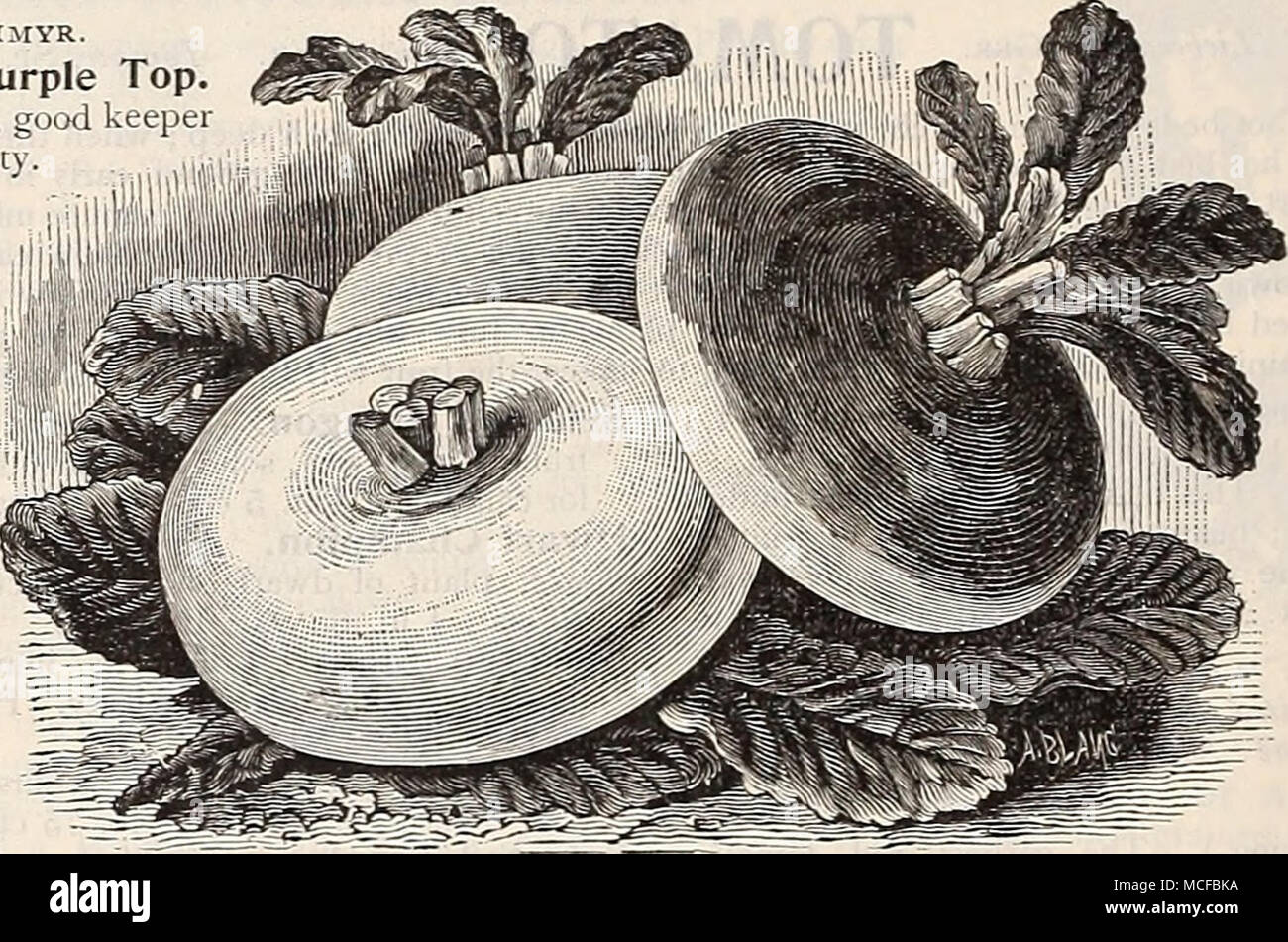 how is chewing tobacco made How to Make Chewing Tobacco at Home with Whole Leaf Tobacco