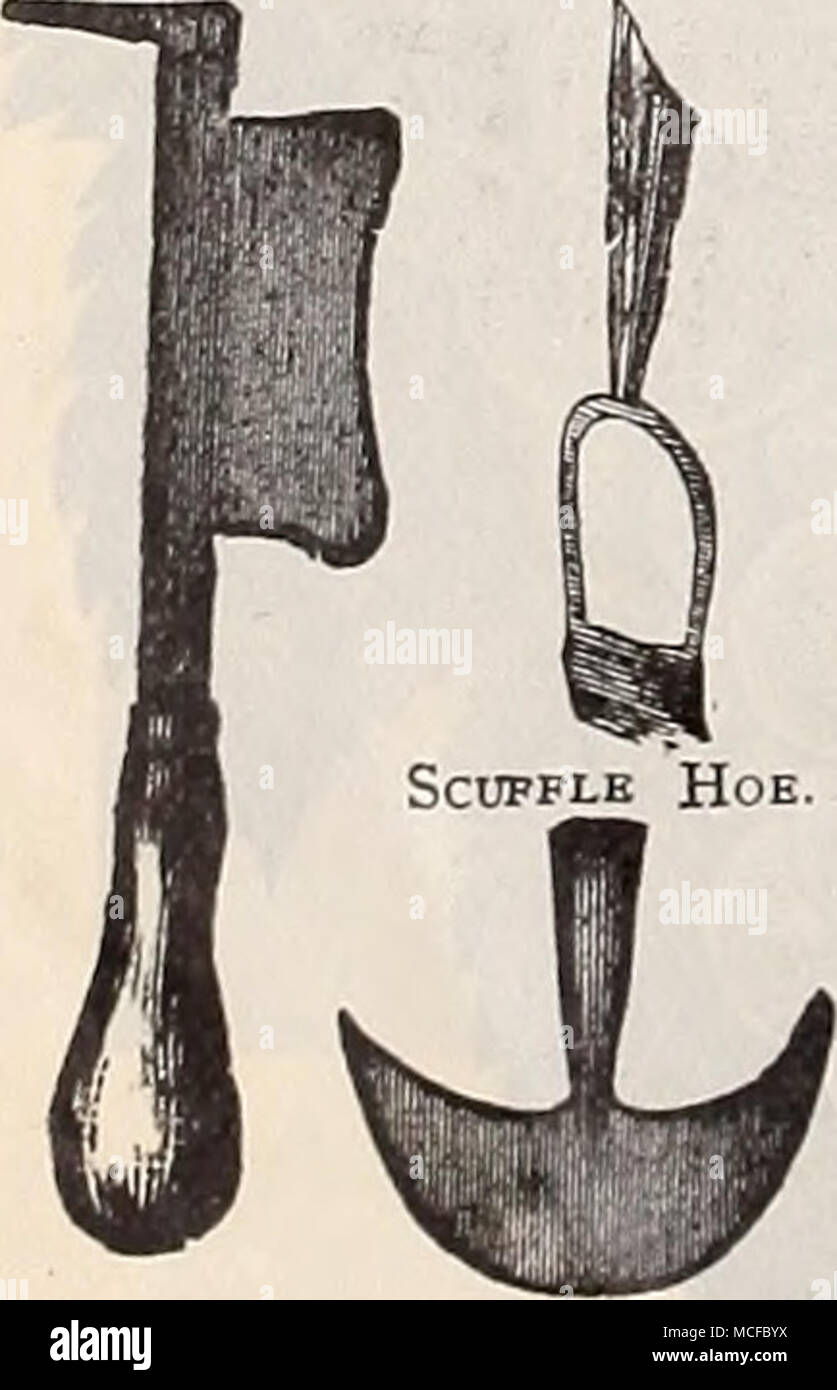 Hoe english sale