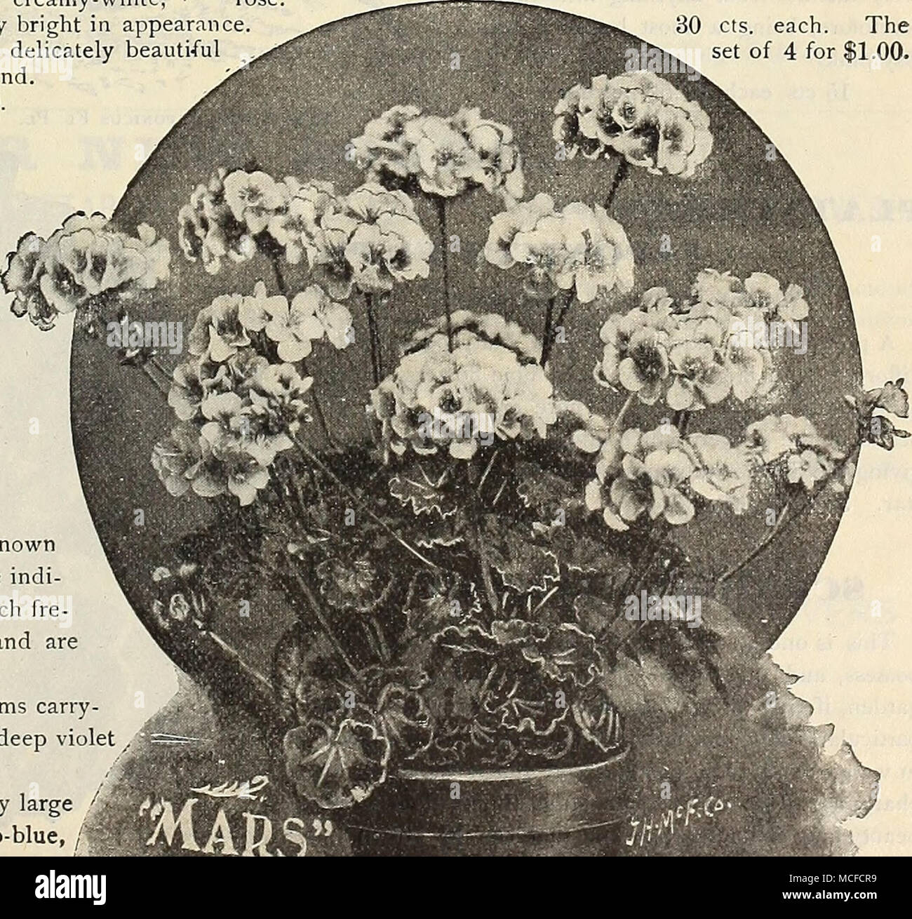 Mars experiments hi-res stock photography and images - Alamy