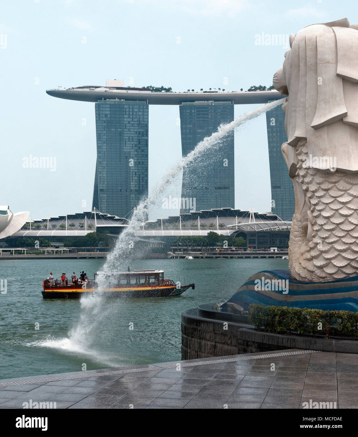 The flowing water spout of the landmark Singapore Merlion with Marina Bay Sands in the hotel in the background. Stock Photo