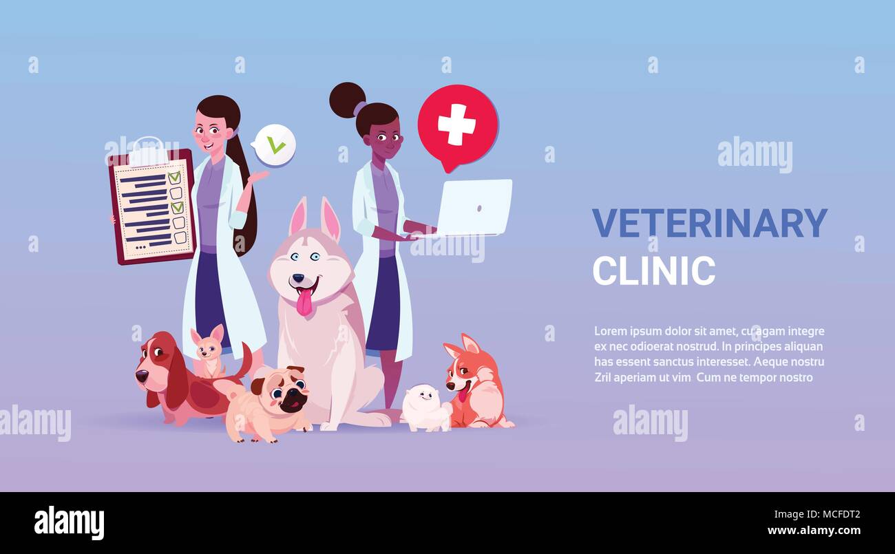 Veterinary Clinic Poster With Female Doctors Ver And Group Of Dogs Over