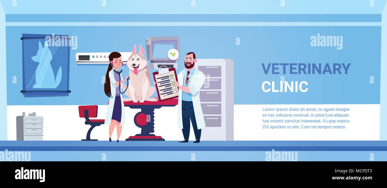 Vet Doctors Examining Dog In Clinic Office Veterinary Medicine