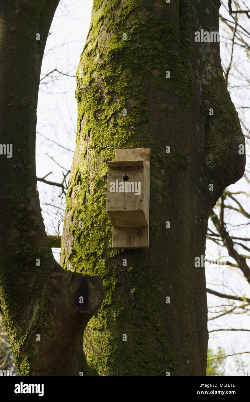Nesting box placed on a woodland tree to provide shelter for wild birds