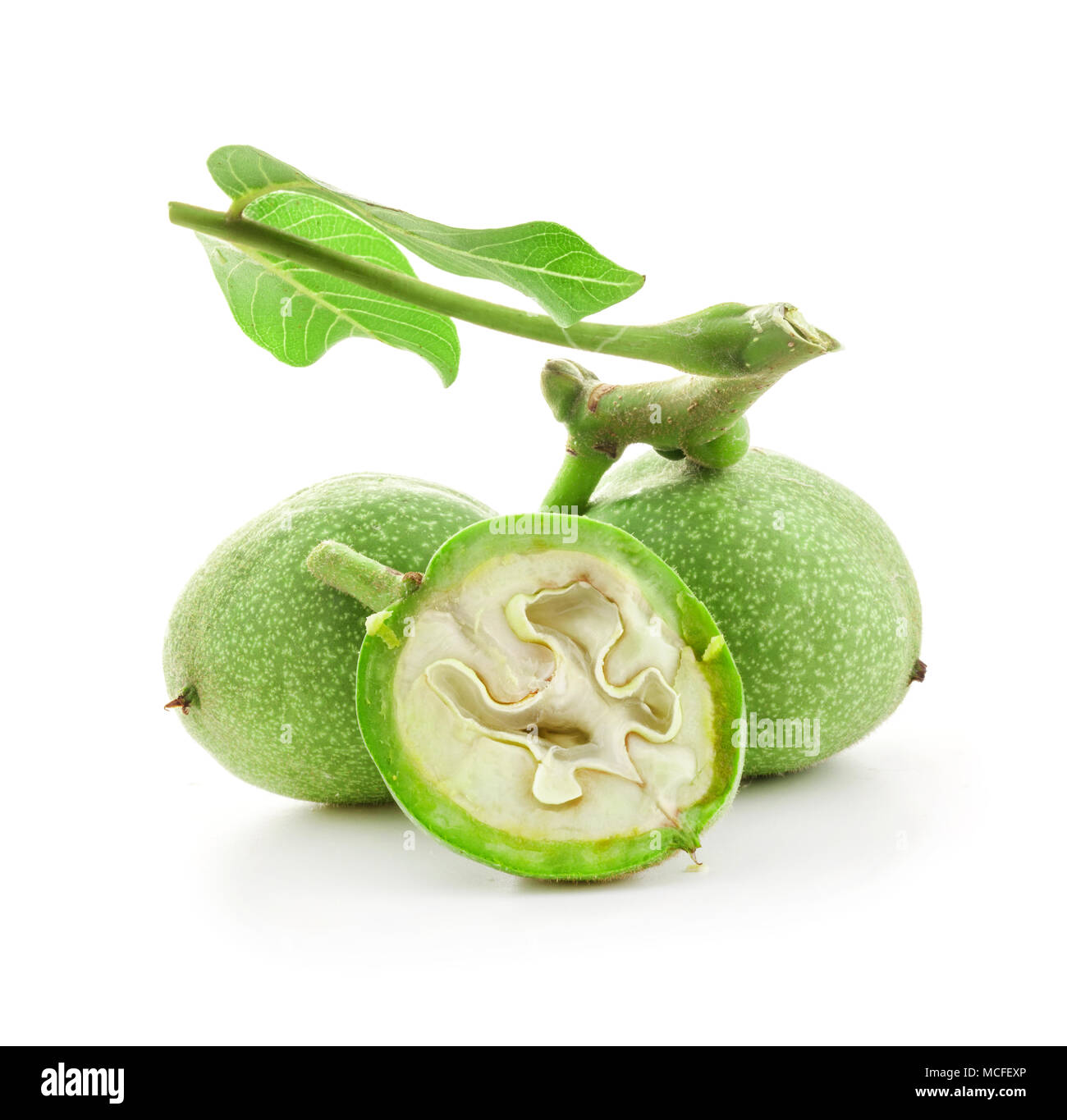 Green walnuts isolated on white background Stock Photo