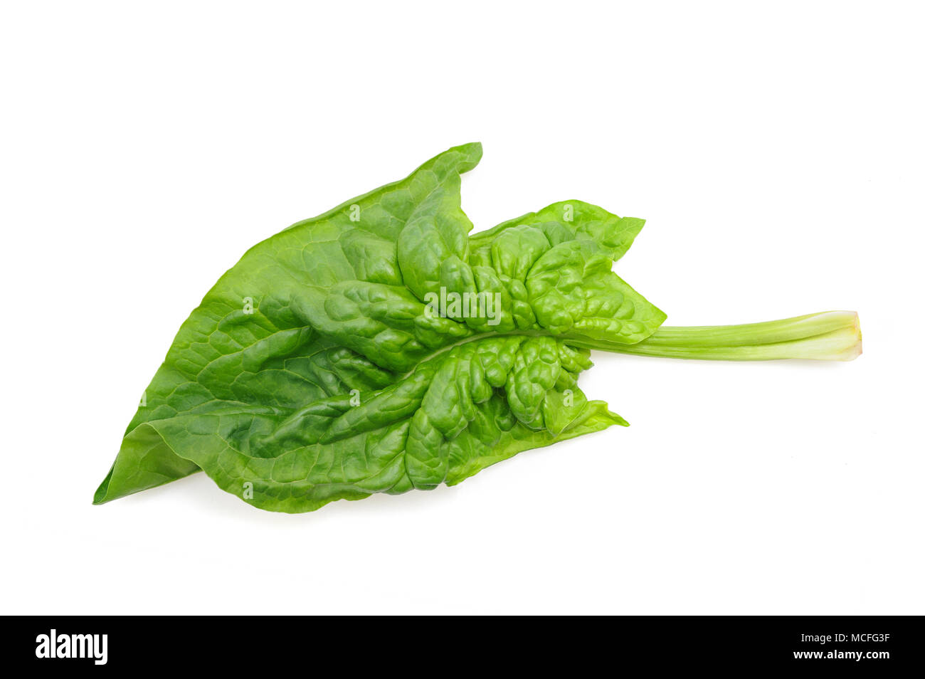 Fresh spinach leaf isolated on white background Stock Photo - Alamy