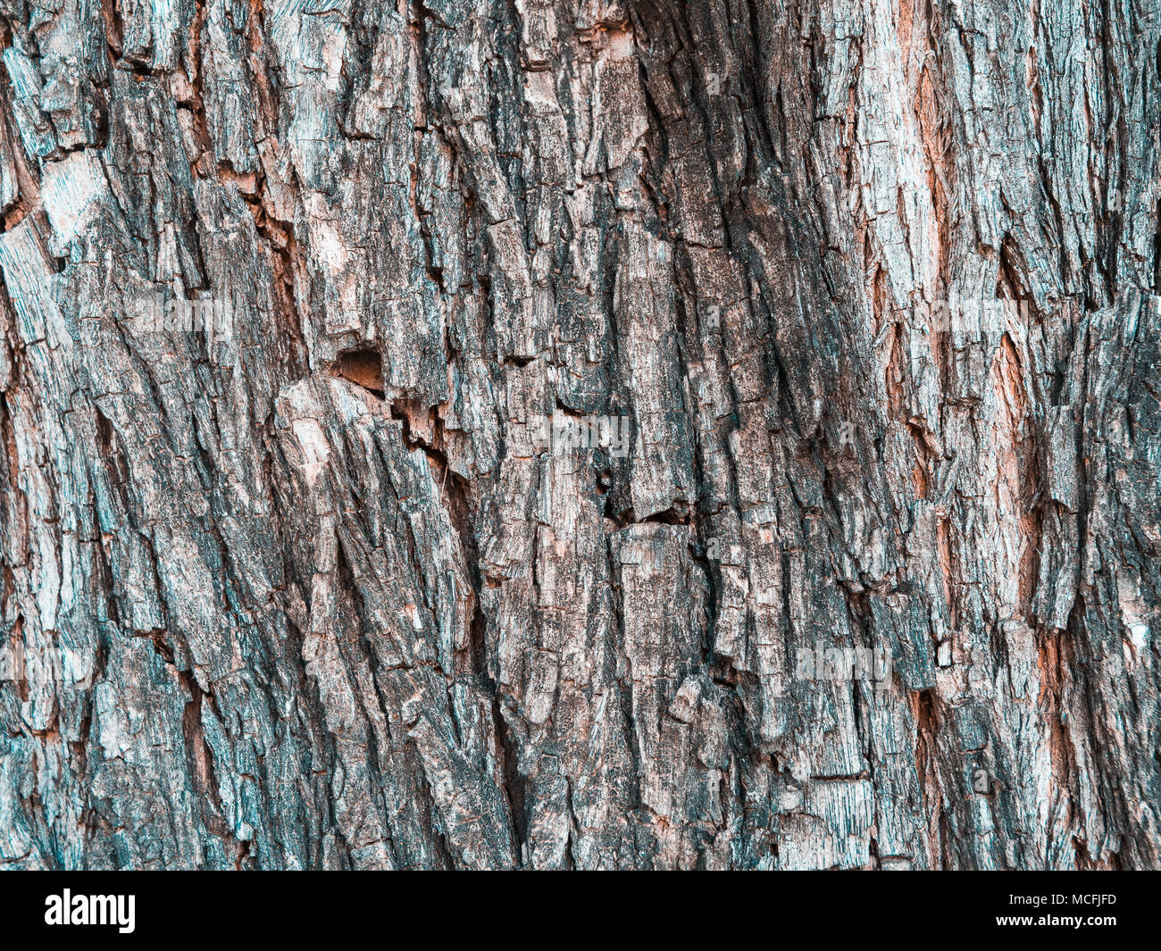 Wood textures for anything, even videogames development. Stock Photo