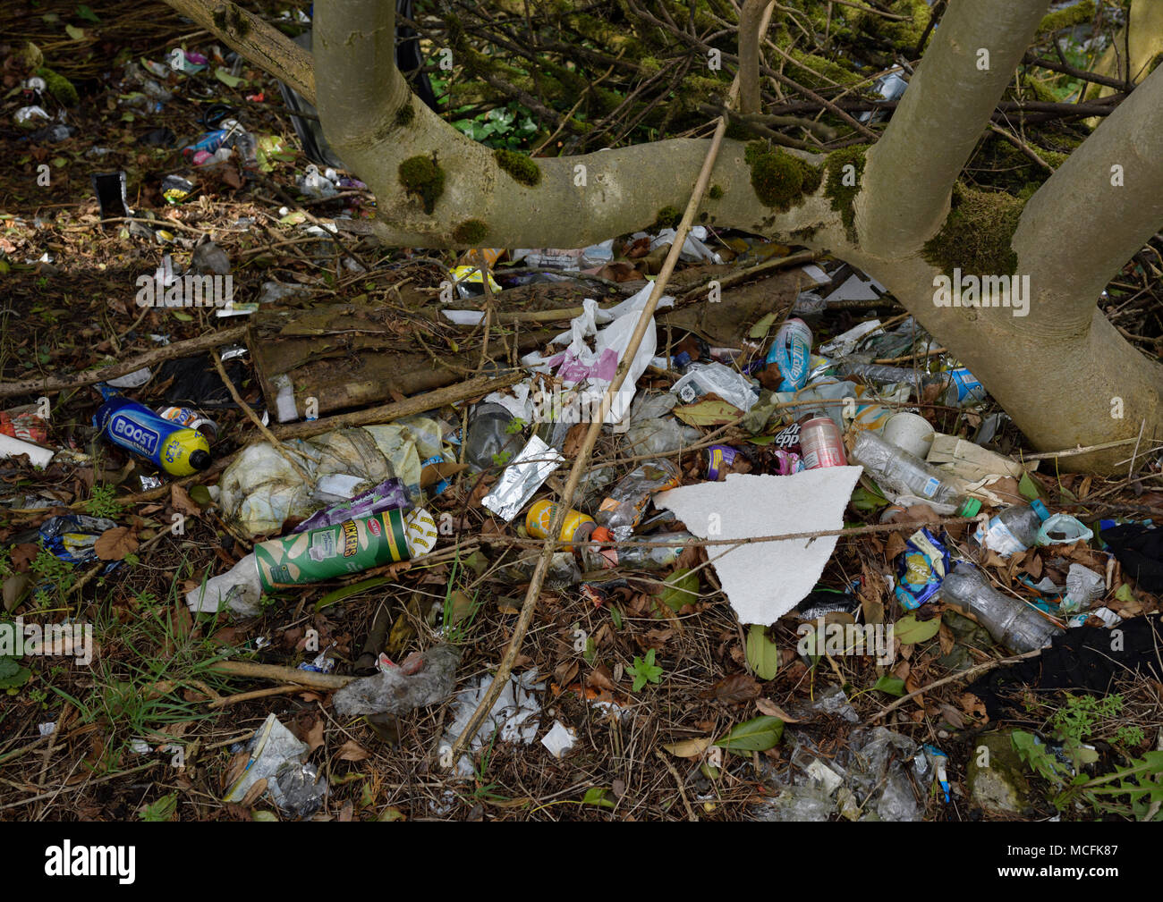 Plastic bottles and plastic bags and food packaging and polystyrene and