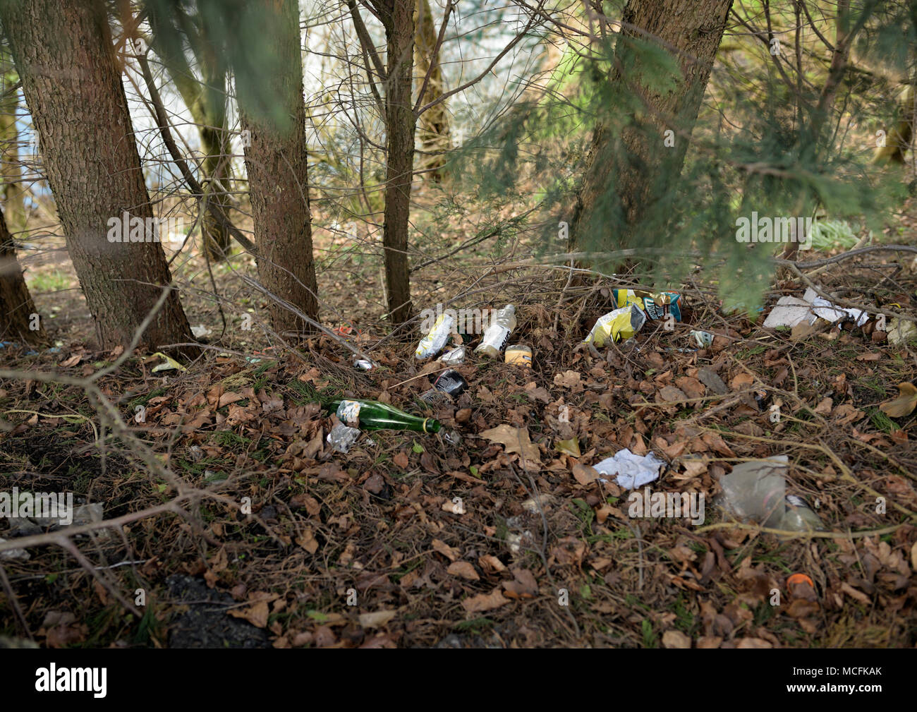 Plastic bags and plastic bottles and rubbish thrown away and dumped in