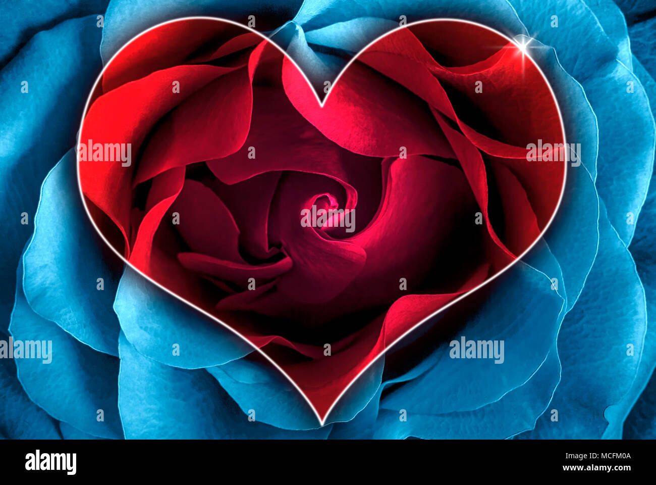 Blue toned rose with heart symbol from petal in center Stock Photo - Alamy