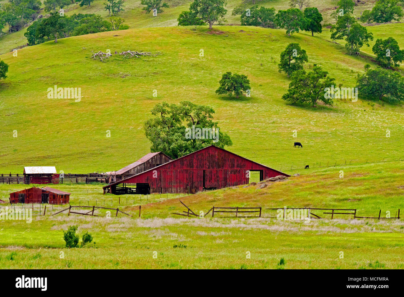 Red Barn, Colusa County, California Stock Photo