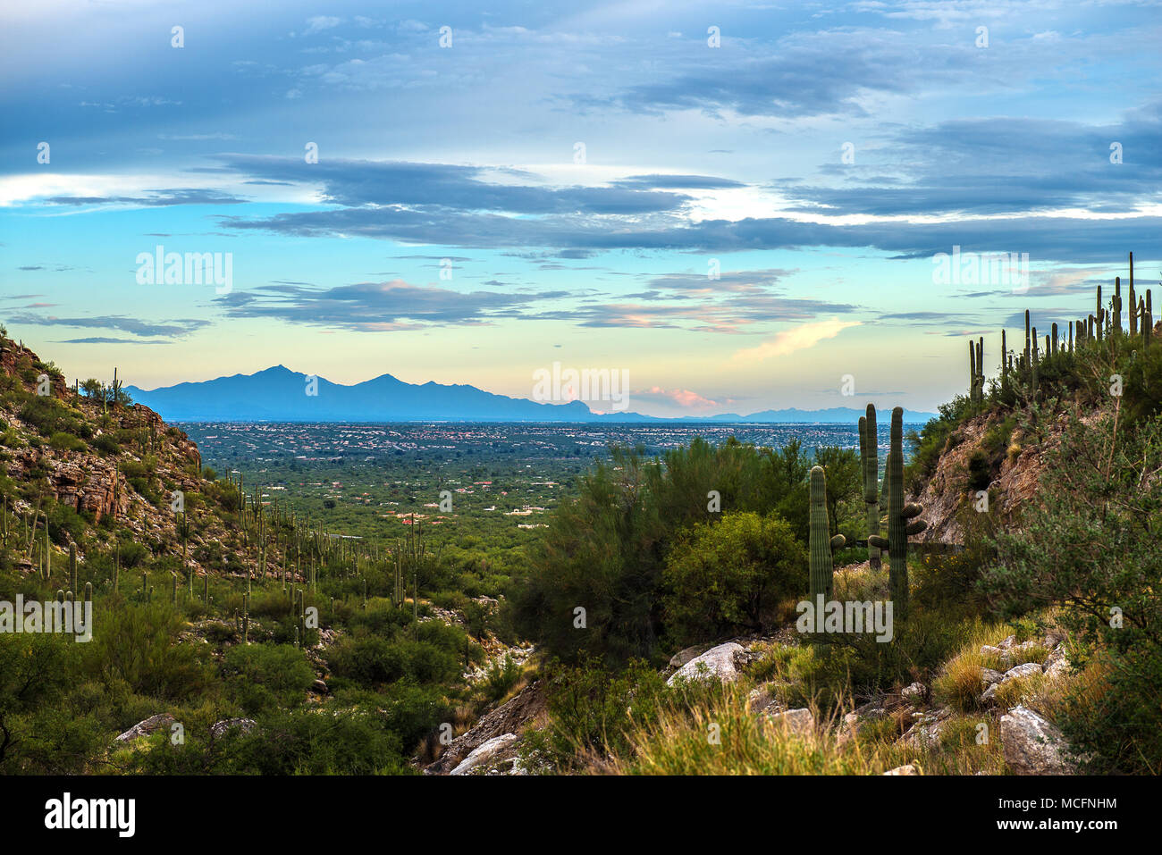 Mt. Lemmon in Tucson Arizona, USA Stock Photo Alamy