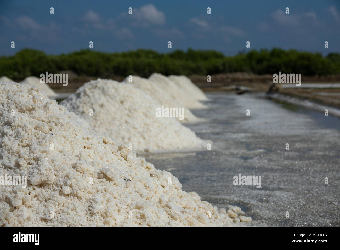 Salt White Ridge White salt field in sunny day. Royalty high quality free stock image of ...