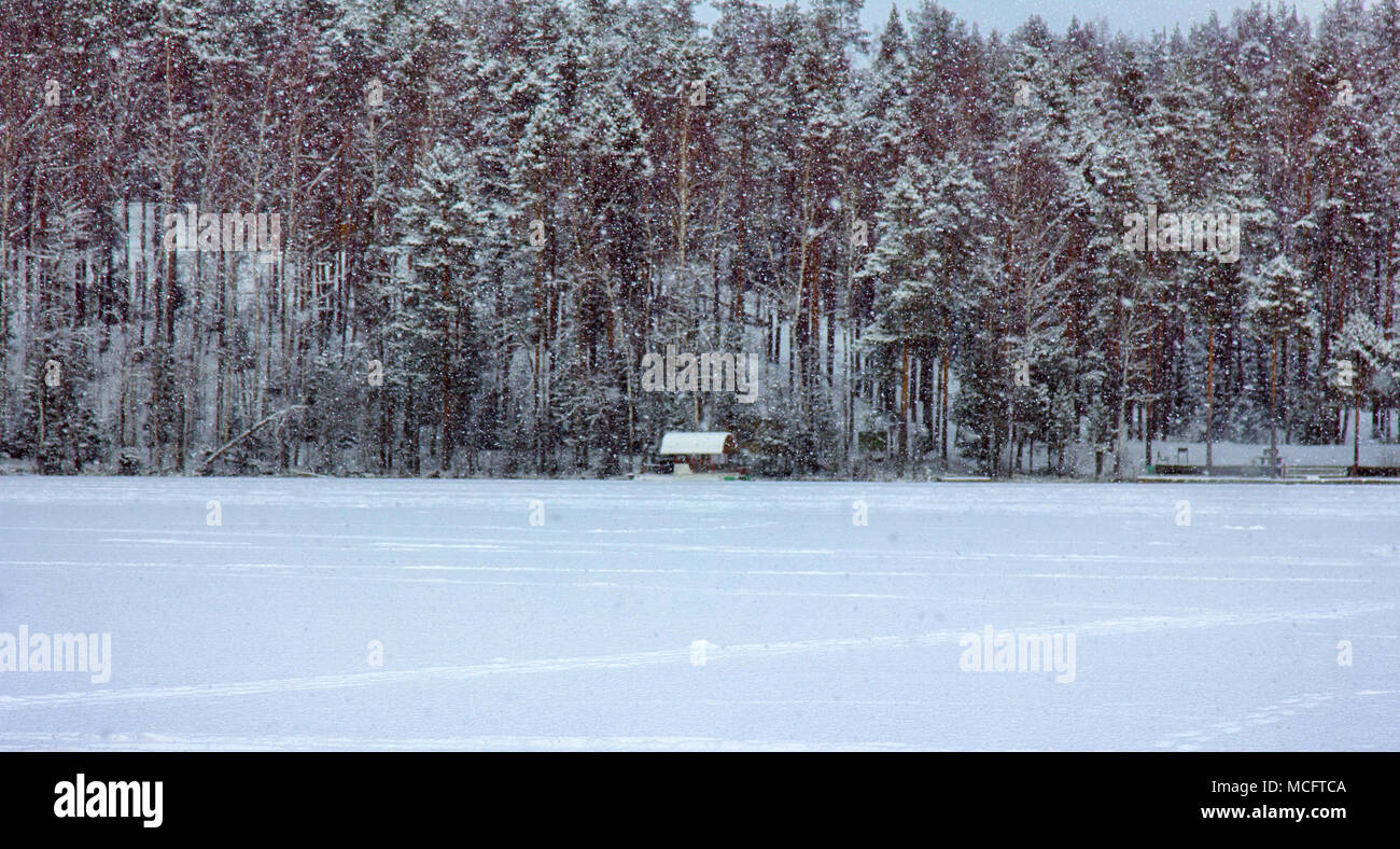 The fox had an ice hut The fox had an ice hut