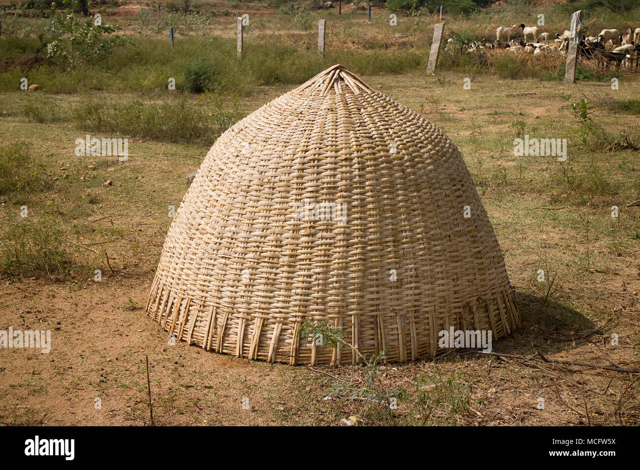 Indian shepherd hut (pandal) weave of straw or bamboo, shelter of straw Stock Photo