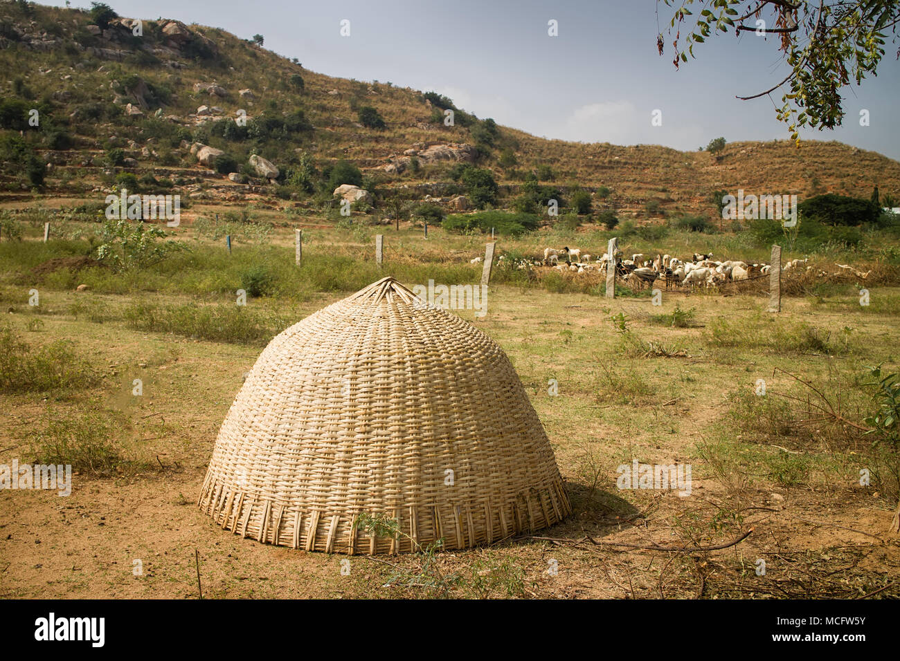 Indian shepherd hut (pandal) weave of straw or bamboo, shelter of straw, on the background of the flock Stock Photo