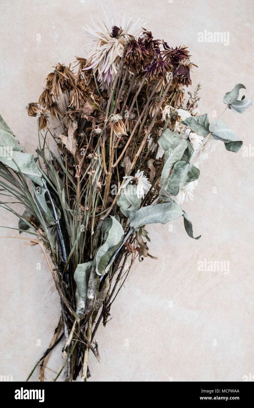 Dead Flowers Stock Photos & Dead Flowers Stock Images Alamy