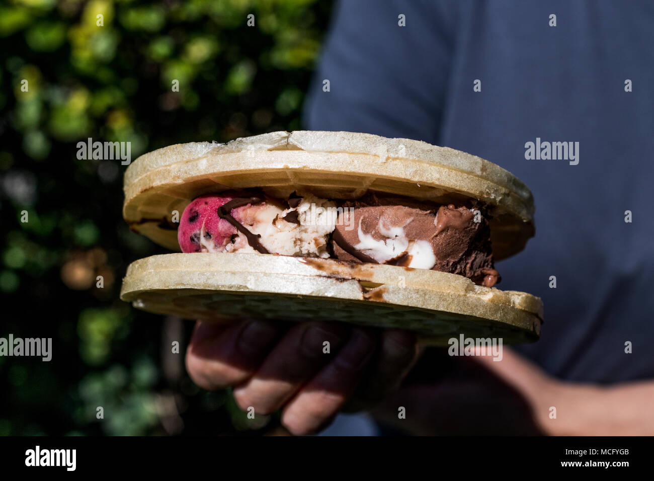 Halva ice cream sandwich / Kagit helva arasi dondurma. Dessert Concept. Stock Photo