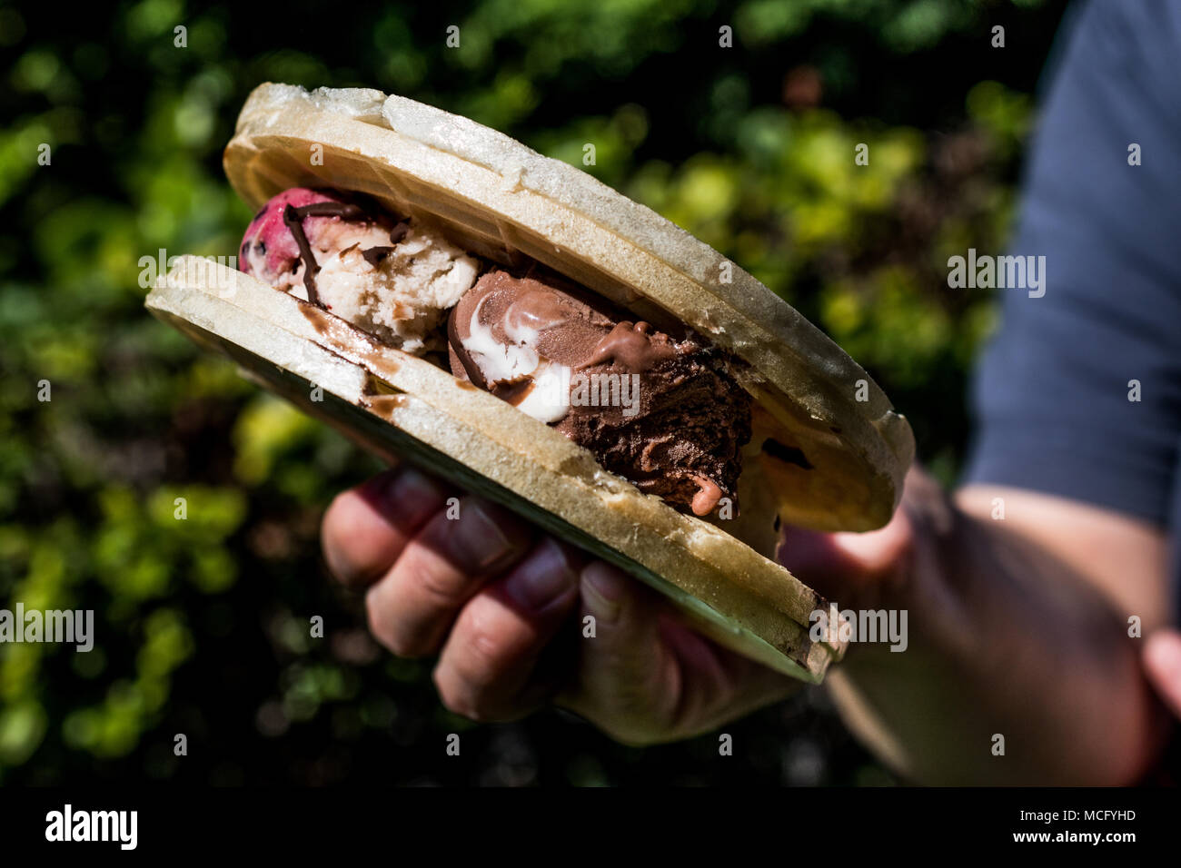 Halva ice cream sandwich / Kagit helva arasi dondurma. Dessert Concept