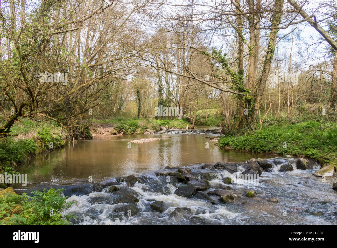 The River Sid passing beside Margaret's Meadow, in the Byes, Sidmouth. One of England's shortest rivers, 6 miles long. Stock Photo