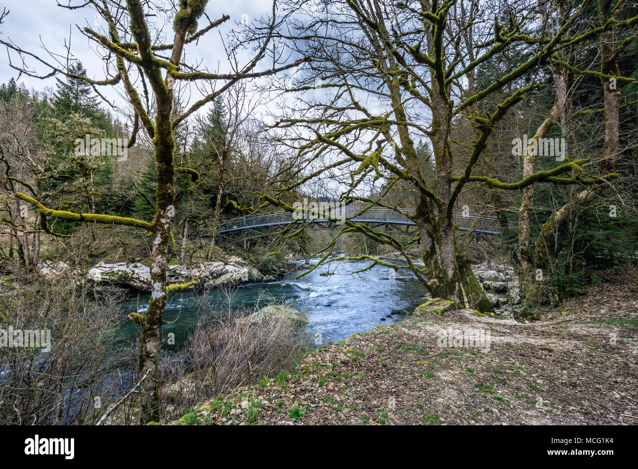 bridge and mossy trees near saut du doubs waterfall switzerland Stock Photo