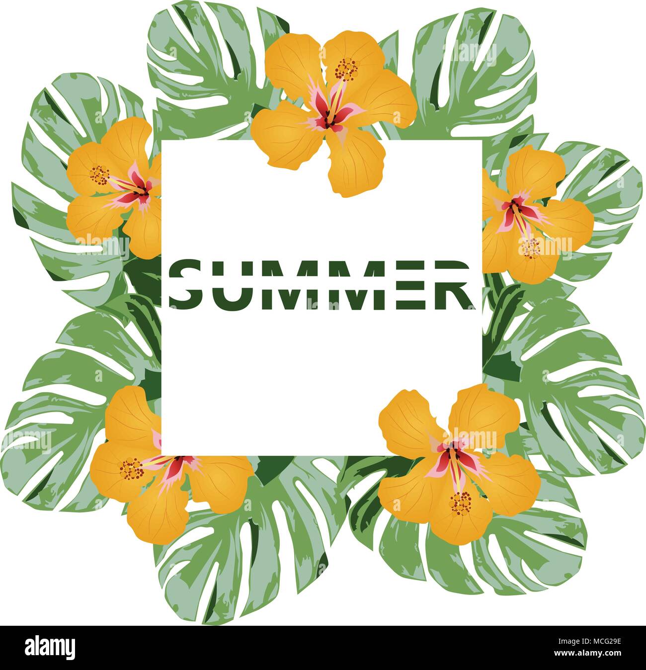 vector illustration of summer background with tropical leaves Stock ...