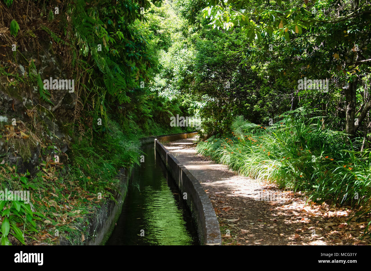 Water irrigation channel, called levada, and footpath for hiking near it. Both running through green jungle of Madeira island, Portugal. Stock Photo