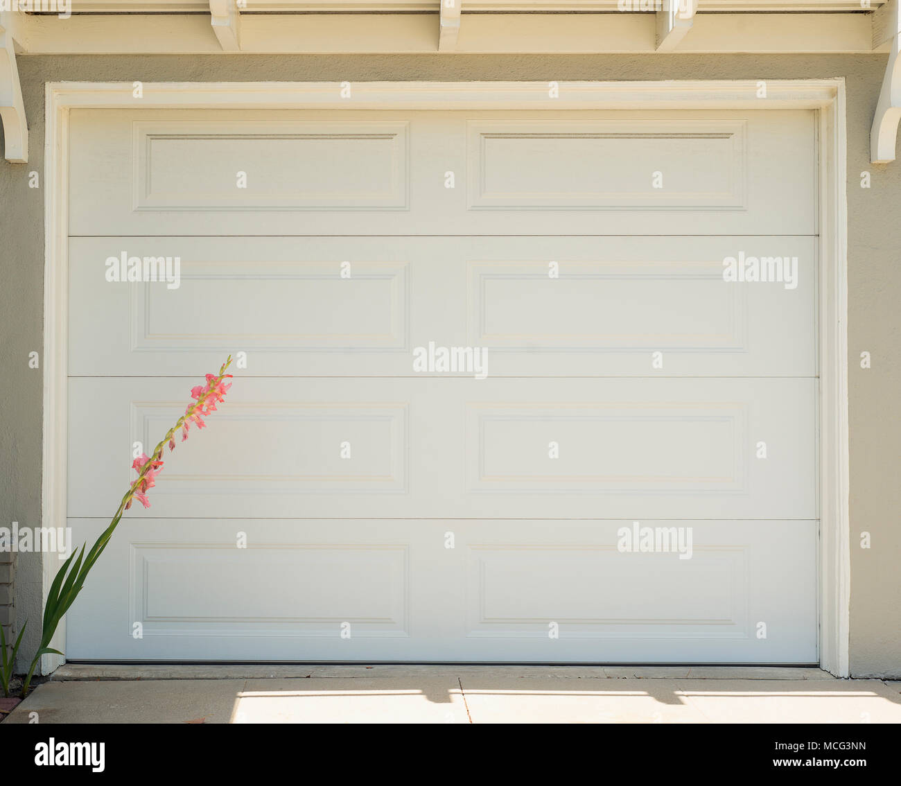 A garage door with a Gladiola in front of it. Stock Photo