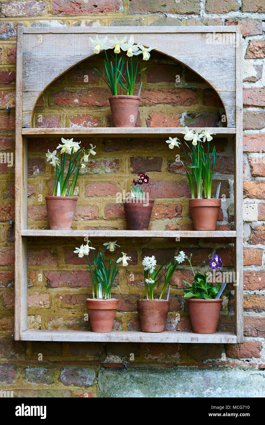 Garden pots, hanging plants, Stock Photo