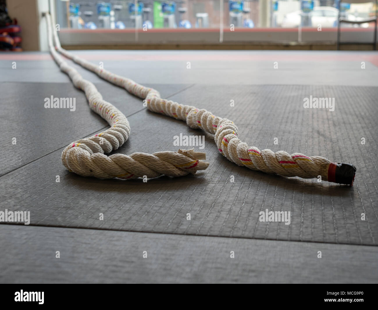 Gym Rope Installation OLYMPBattle ropes exercise attached to wall of gym, floor level viewUS ...