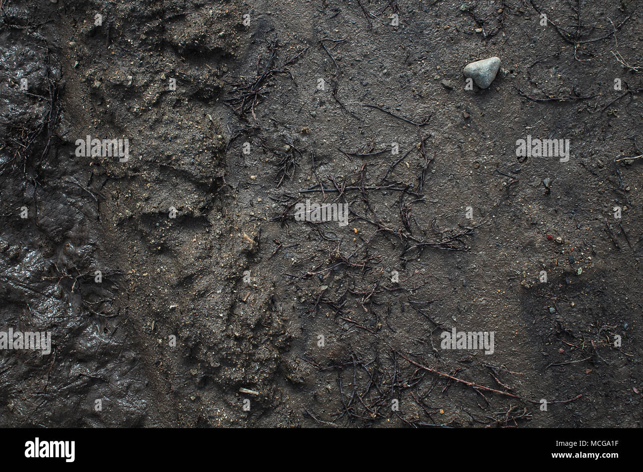 Grey earth. Soil texture. Soil background. Earth background. Gray soil
