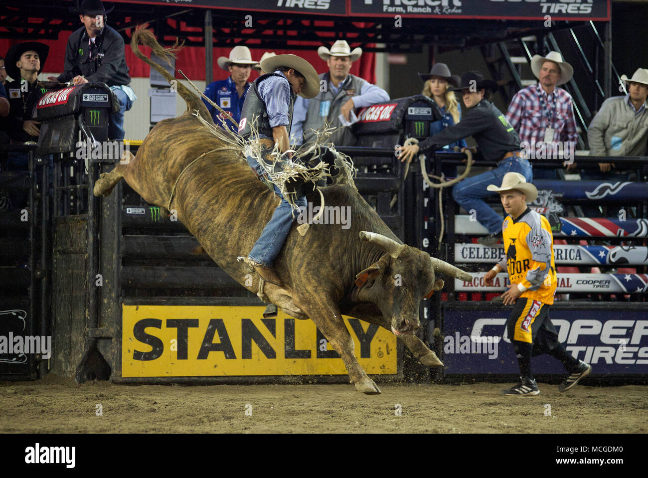 Tacoma Washington Usa 15th Apr 18 Bull Rider Alex Marcilio Rides The Bull Crazy Horse As Bull Fighter Frank Newsom Watches During The Pbr Tacoma Invitational In The Tacoma Dome In Tacoma Tacoma Washington Usa 15th Apr 18 Bull Rider Alex Marcilio Rides The Bull Crazy Horse As Bull Fighter Frank Newsom Watches During The Pbr Tacoma Invitational In The Tacoma Dome In Tacoma