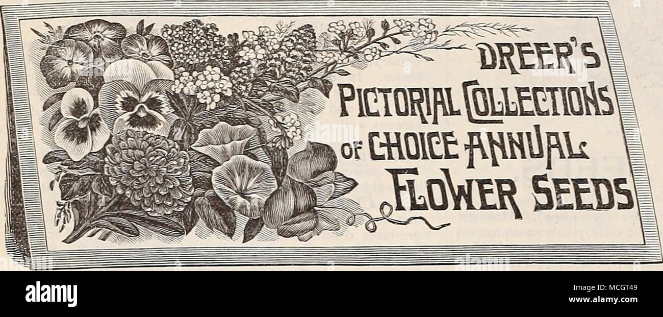 . DREER'S Pictorial Collections of Choice Flower Seeds. These very