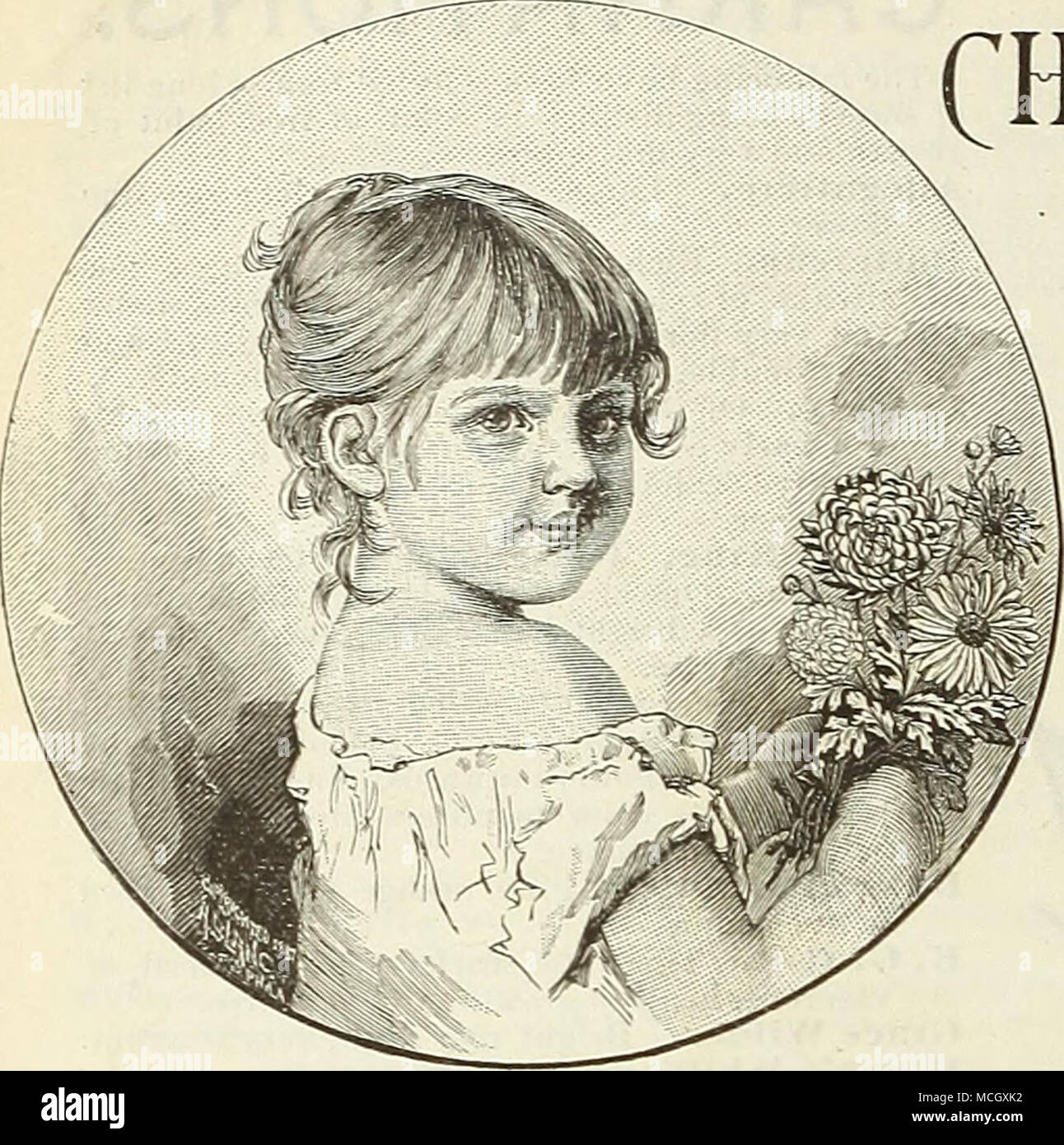 . CHKysjiNTHmaMs. &quot; I(7ieÂ« nutsare droppiny from the trees and corn isgathered i â . When purple grapes are on the vine and apples in the bin, ]Vhen far across the level fields is borne thecvoic's harsh cat!,, Then in the garden lifts its head the bravest flower of all. Oh! bright and strong and undismayed, the bravestfloicer of a/I,, For on the winter's icy edge it sets its banyier bold, With fragrance keen as myrrh and spice, with colors elenii and cold. Its petals may be tipped with pink, or touched with palest h ue Of yellow gold, or snowy whiteâtheir beauty smiles at you - And littl Stock Photo