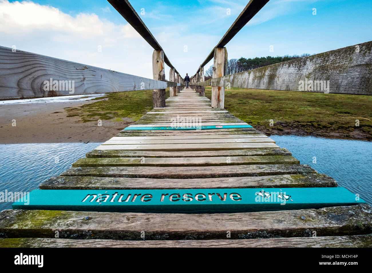 View of wooden footbridge leading to Aberlady Bay Nature Reserve on coast of Firth of Forth estuary in East Lothian, Scotland, UK Stock Photo