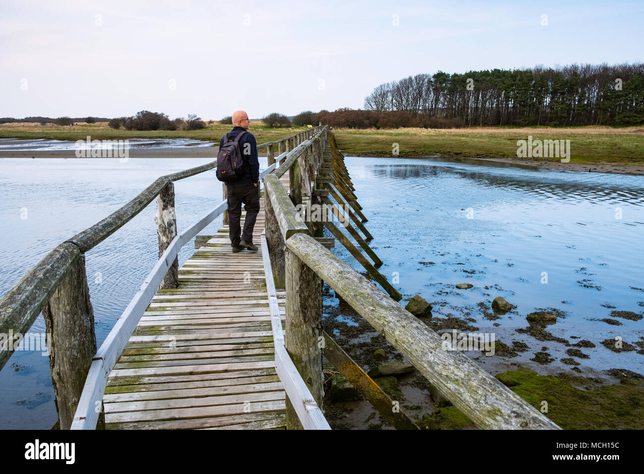 View of wooden footbridge leading to Aberlady Bay Nature Reserve on coast of Firth of Forth estuary in East Lothian, Scotland, UK Stock Photo