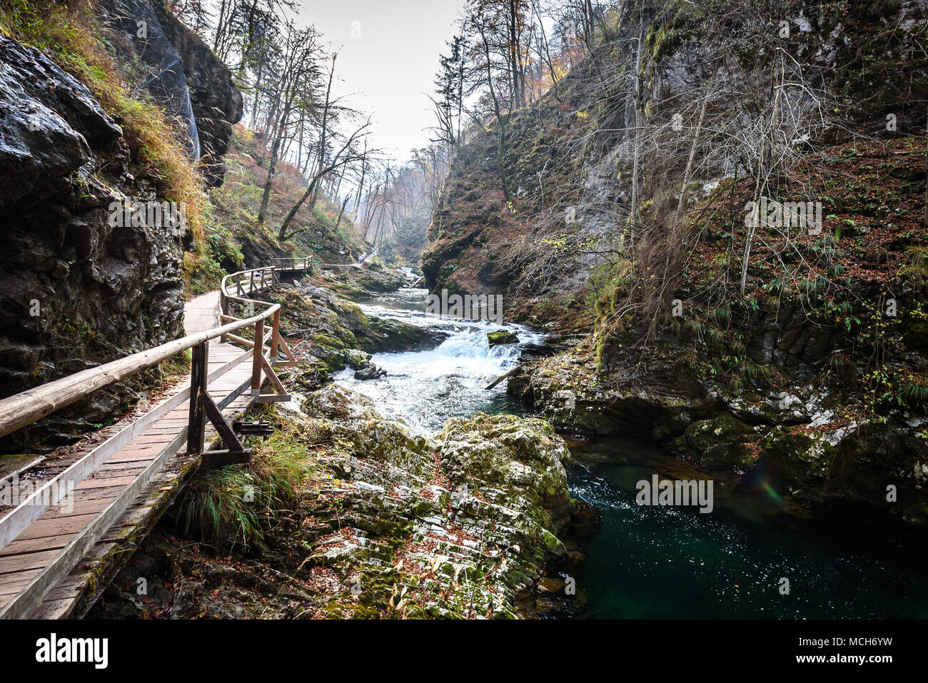 Soteska Vintgar, The Vintgar Gorge or Bled Gorge in Slovenia. Famous canyon with river Radovna, waterfalls and wooden bridges pathway. Touristic landm Stock Photo