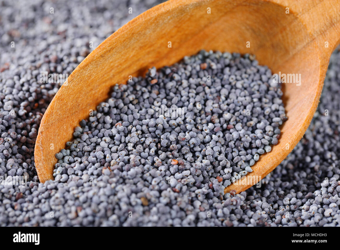 bulk poppy seeds and wooden spoon  - detail Stock Photo