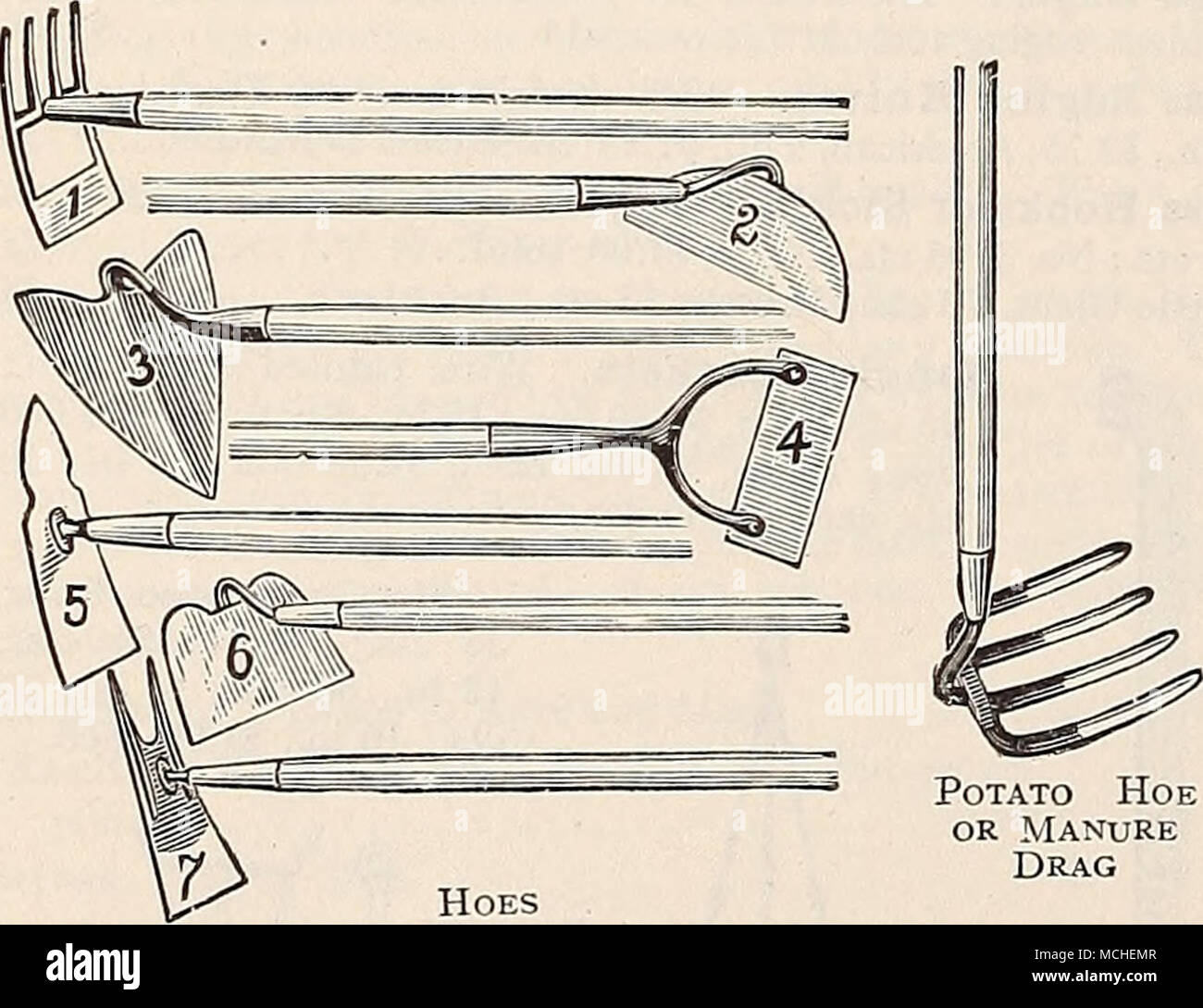 15 Foot Potato High Resolution Stock Photography and Images - Alamy