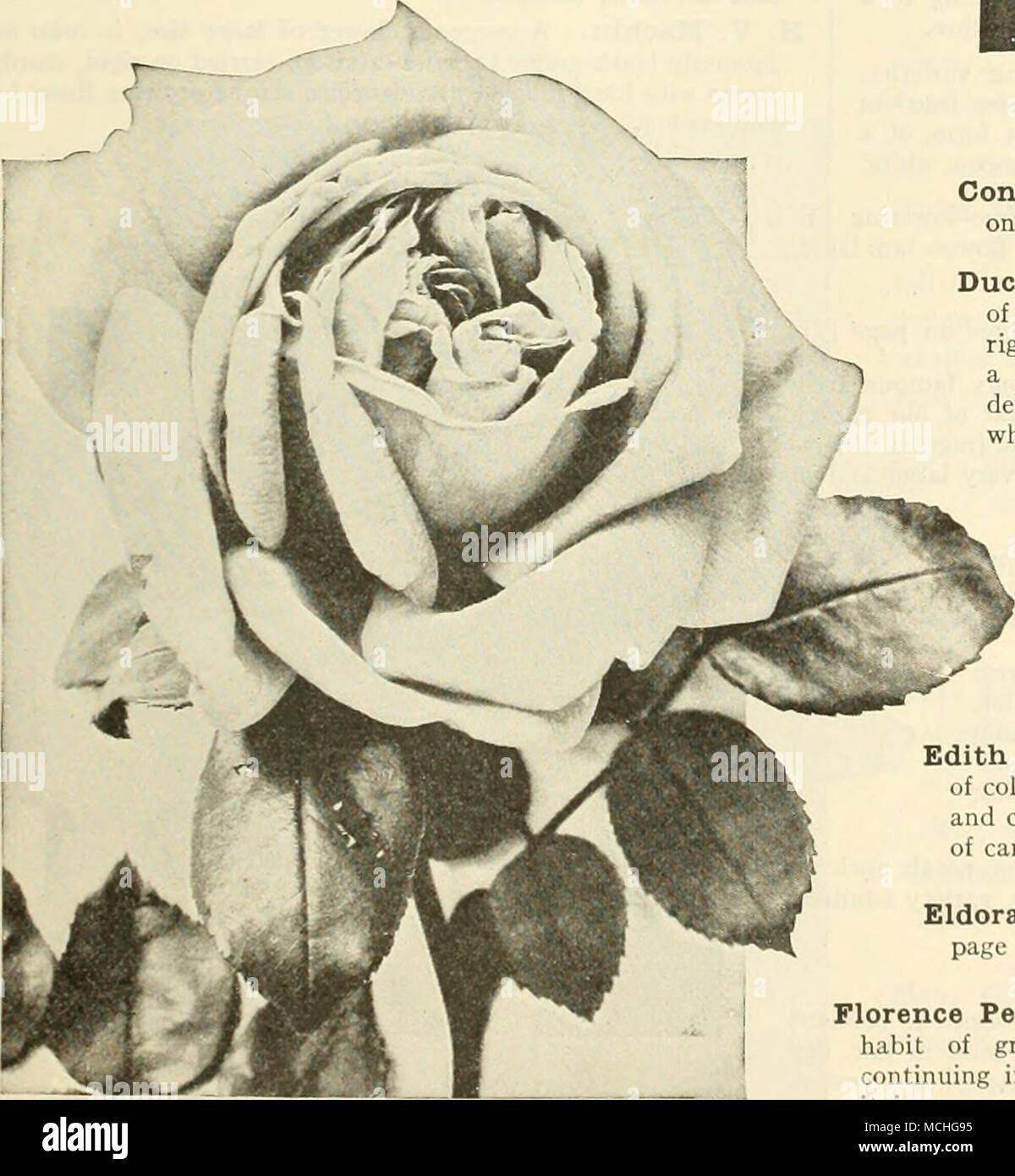 Cryptic notes hi-res stock photography and images - Alamy