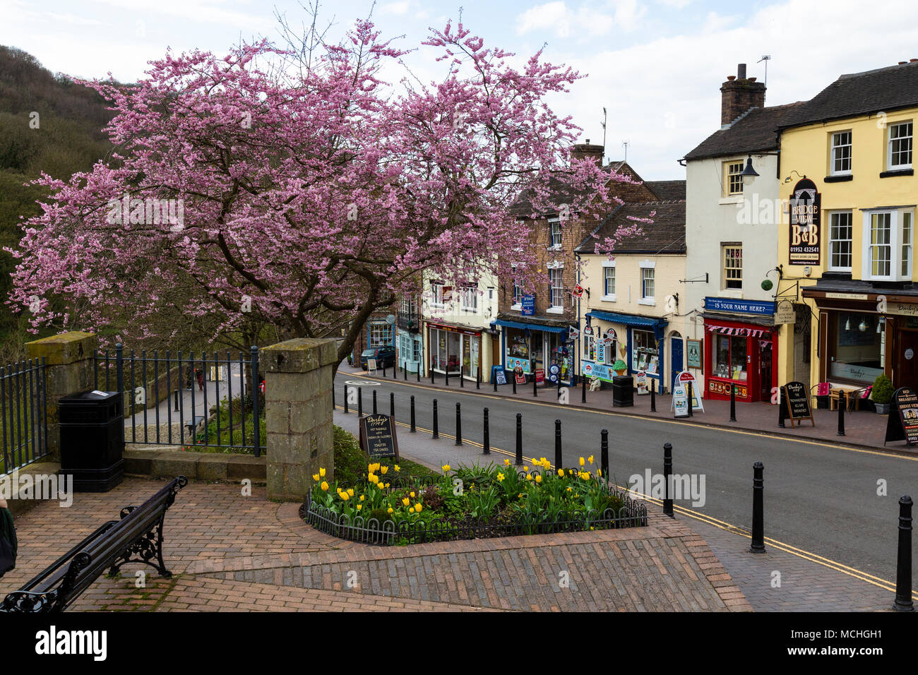 The Wharfage, the main street in Ironbridge, Shropshire, England, during spring, with cherry blossom and daffodils blooming. Stock Photo