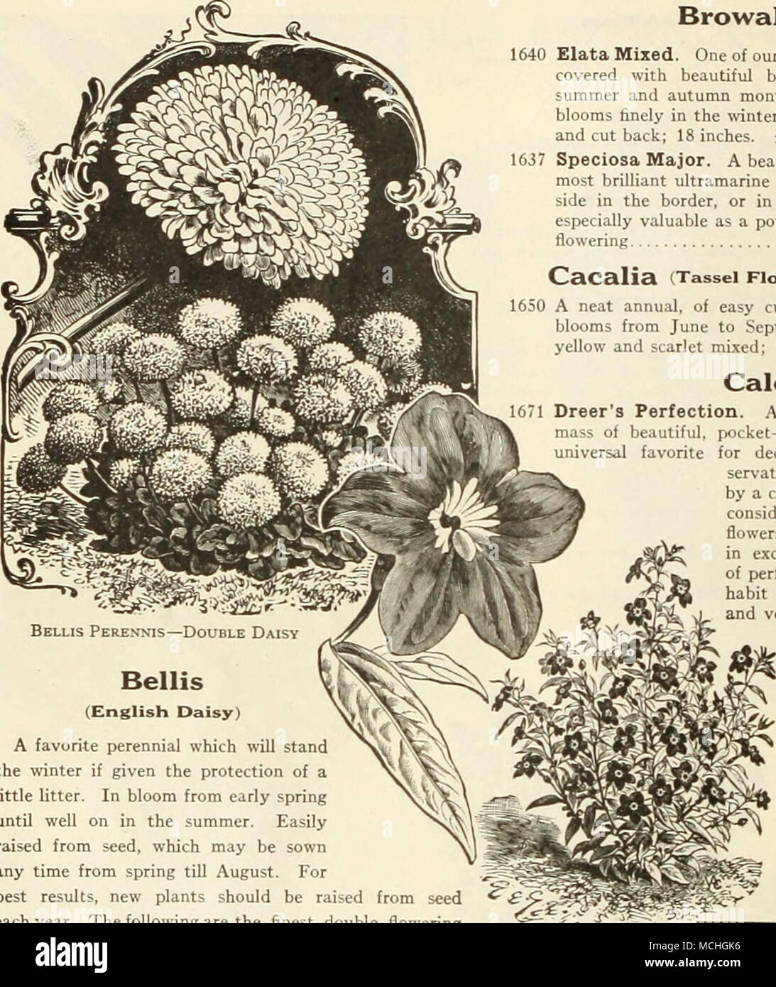 Spring summer autumn flower baskets hires stock photography and images