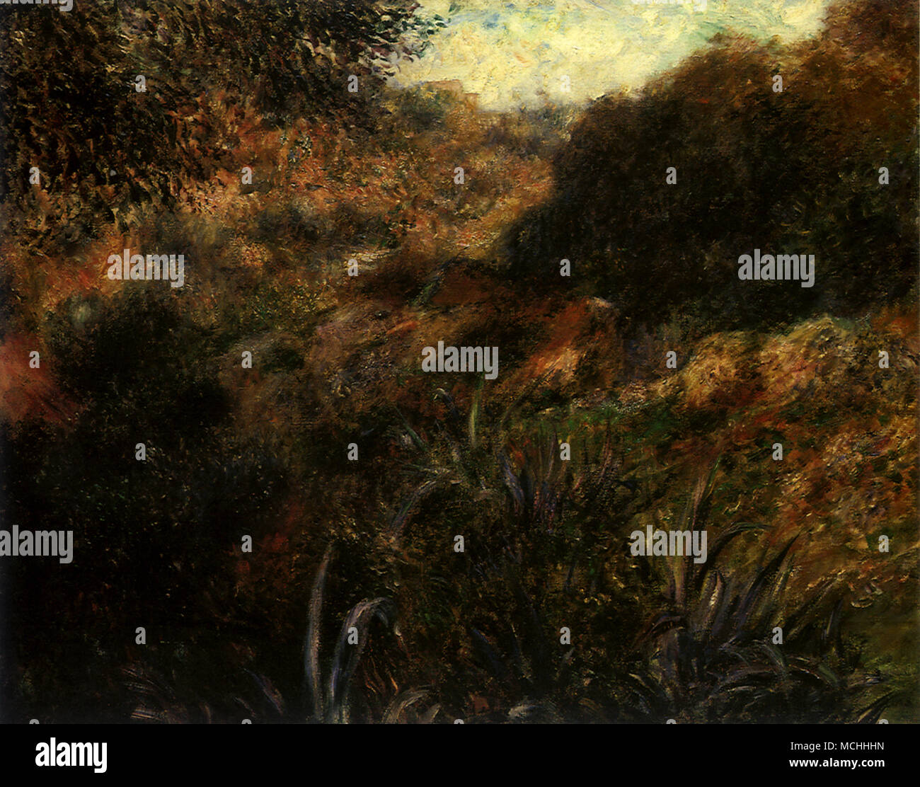 Algerian Landscape The Ravin de la Femme Sauvage Stock Photo Alamy